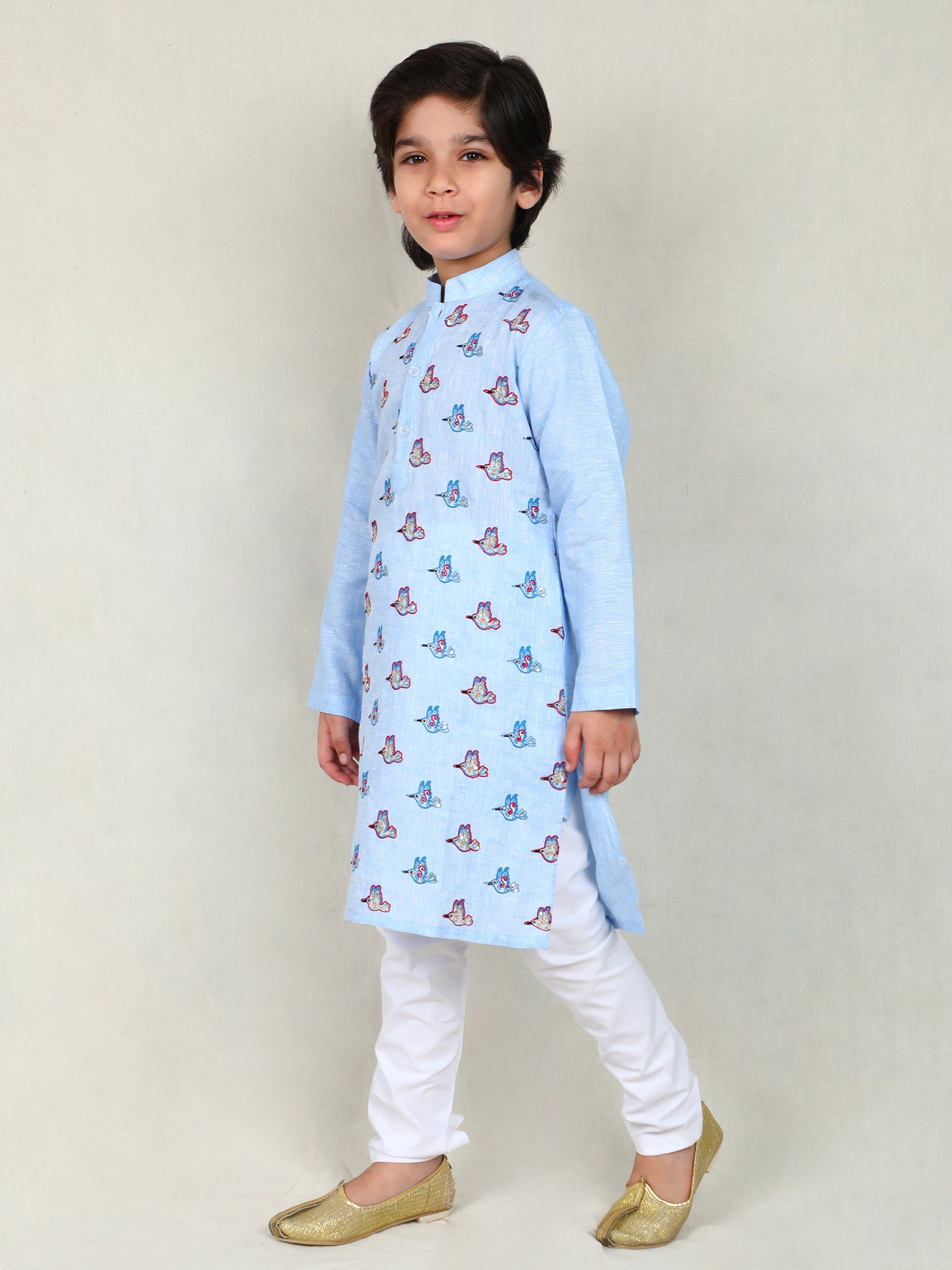 Sky Blue Embroidered Bird Kurta Set